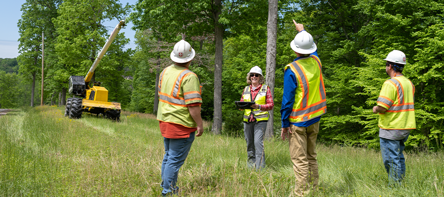 Utility vegetation management crew in safety gear discusses a tree hazard during a roadside field inspection while a trimming machine works in the background.